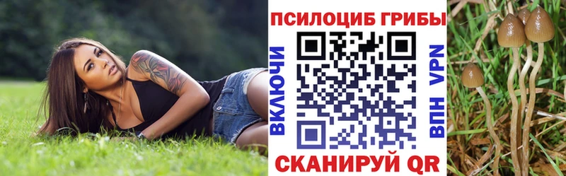 Галлюциногенные грибы Magic Shrooms  Сорочинск 